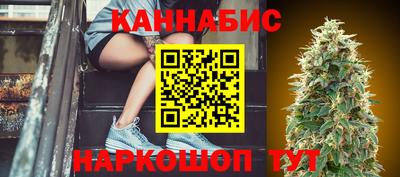стафф Кудрово