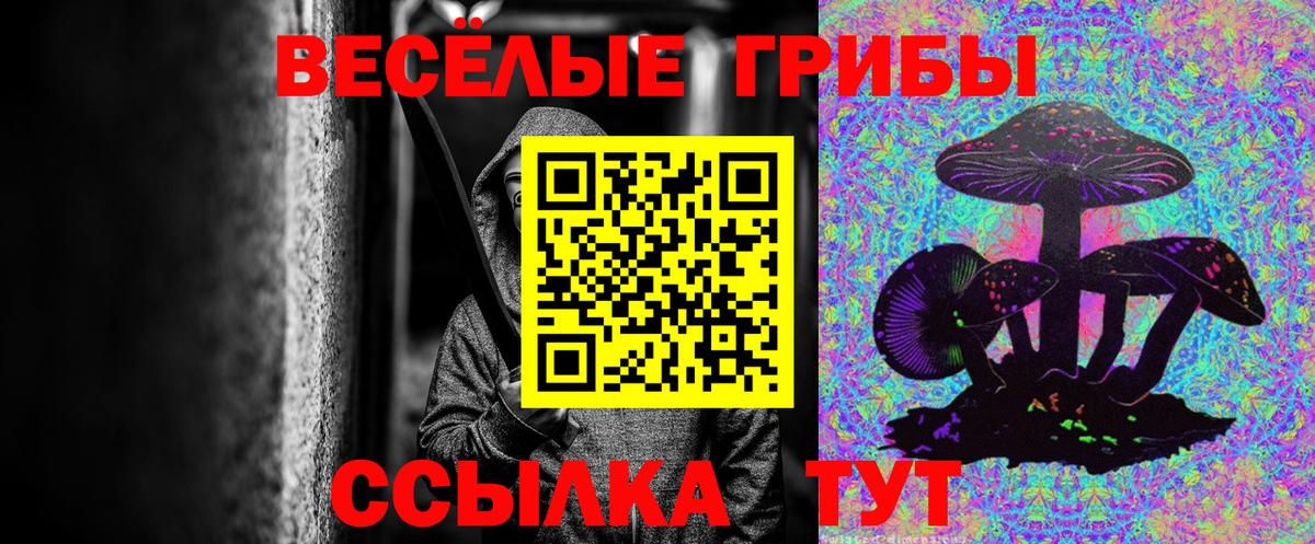 Псилоцибиновые грибы Cubensis  где продают   Горячий Ключ  Вход с VPN 